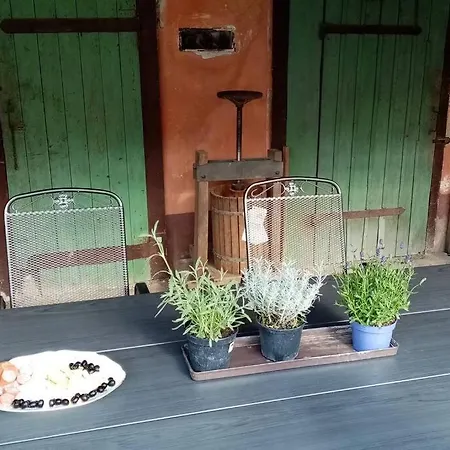 Statek * Veverska Bityska