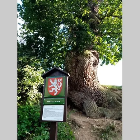 דירה Statek Veverska Bityska